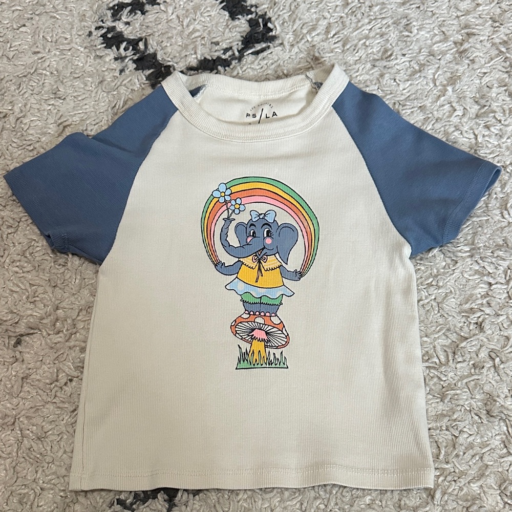 Pacsun Crop Top